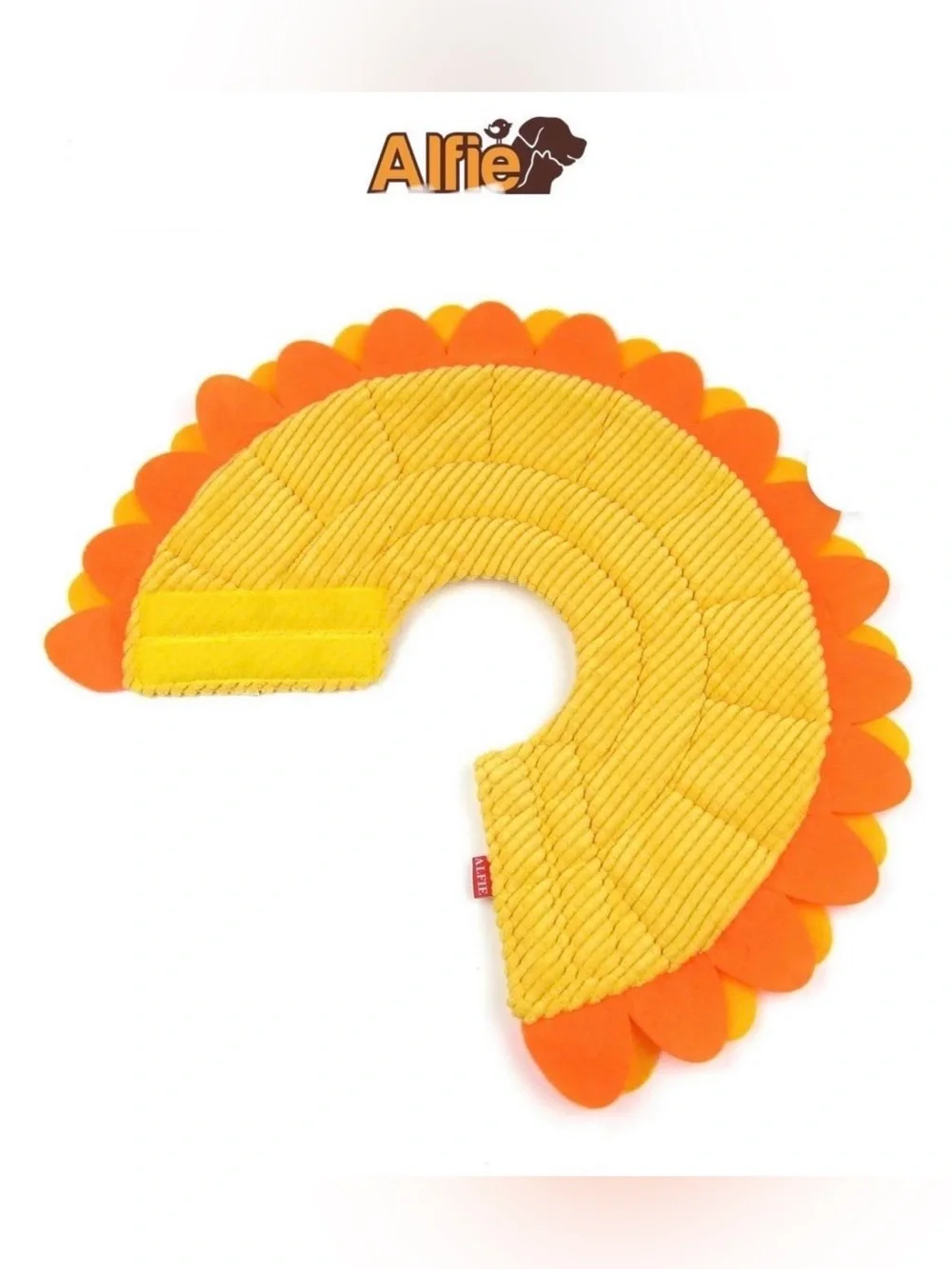 Alfie m2668 can